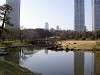 hamarikyu_0385_mini.jpg