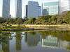 hamarikyu_0388_mini.jpg