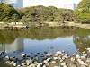 hamarikyu_0390_mini.jpg