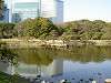 hamarikyu_0391_mini.jpg