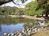 hamarikyu_0392_mini.jpg