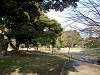 hamarikyu_0394_mini.jpg