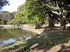 hamarikyu_0395_mini.jpg