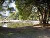 hamarikyu_0397_mini.jpg