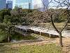 hamarikyu_0399_mini.jpg