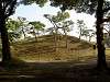 hamarikyu_0421_mini.jpg
