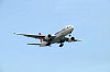 haneda_0018_mini.jpg