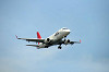haneda_0296_mini.jpg