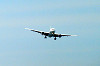 haneda_0339_mini.jpg