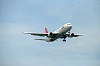 haneda_0469_mini.jpg