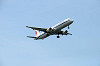 haneda_0592_mini.jpg