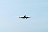 haneda_0669_mini.jpg