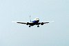 haneda_0823_mini.jpg