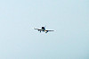 haneda_1111_mini.jpg