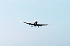 haneda_1186_mini.jpg