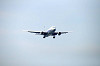 haneda_1220_mini.jpg