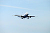 haneda_1255_mini.jpg
