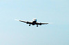 haneda_1266_mini.jpg