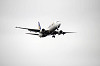 haneda_2117_mini.jpg