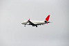 haneda_2823_mini.jpg