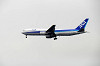 haneda_2895_mini.jpg
