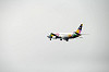 haneda_3051_mini.jpg