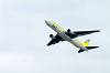 haneda_4029_mini.jpg