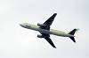 haneda_4039_mini.jpg