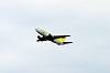 haneda_4066_mini.jpg