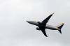 haneda_4097_mini.jpg