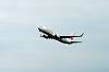 haneda_4167_mini.jpg