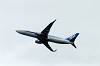 haneda_4187_mini.jpg