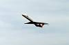 haneda_4307_mini.jpg