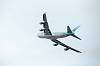 haneda_4342_mini.jpg