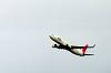 haneda_4379_mini.jpg