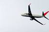 haneda_4388_mini.jpg