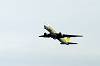 haneda_4402_mini.jpg
