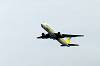 haneda_4403_mini.jpg