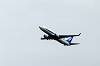 haneda_4438_mini.jpg