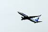 haneda_4439_mini.jpg