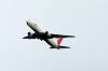 haneda_4447_mini.jpg
