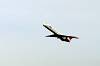 haneda_4497_mini.jpg