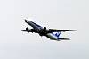 haneda_4511_mini.jpg