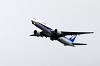 haneda_4512_mini.jpg