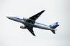haneda_4521_mini.jpg