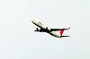 haneda_4529_mini.jpg
