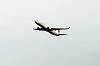 haneda_4555_mini.jpg