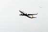 haneda_4556_mini.jpg