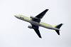 haneda_4606_mini.jpg