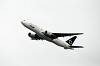haneda_4643_mini.jpg
